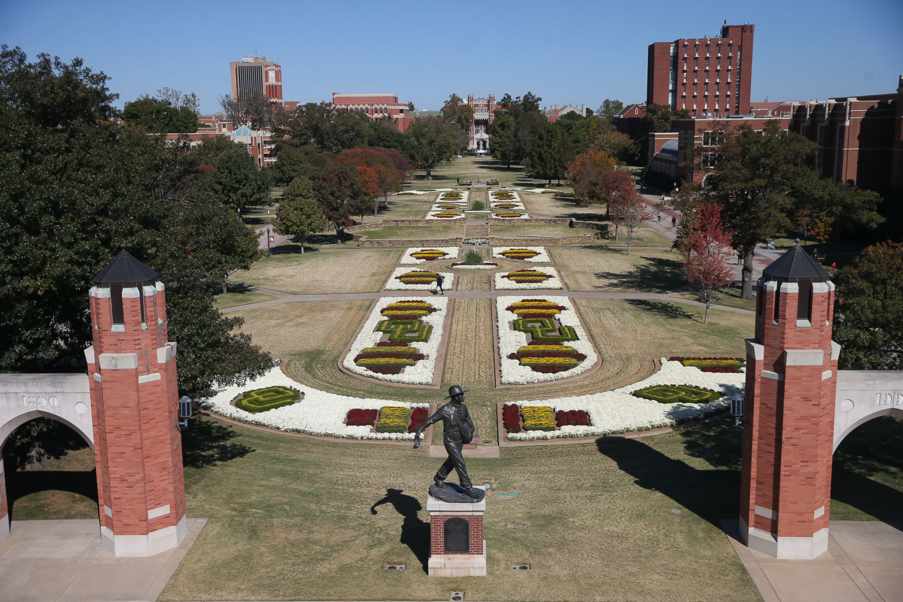 South Oval Mums